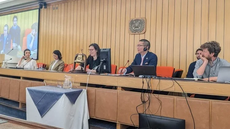 Learning and exchange: co-hosting a seminar ahead of summer meetings at the IMO