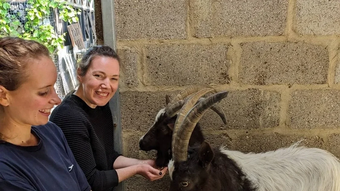 Two women, both smiling, each feeding a goat from their hands.