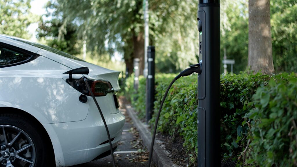 Positive climate stories in October 2023