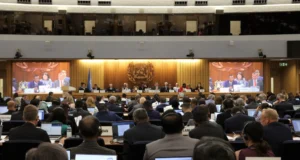 journalist photo of IMO meeting hall full with ongoing discussions
