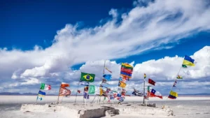 Image of flags on a beach