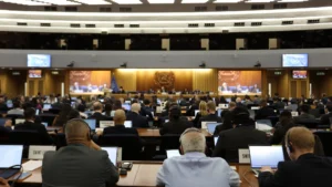 journalist photo of IMO meeting hall full with ongoing discussions