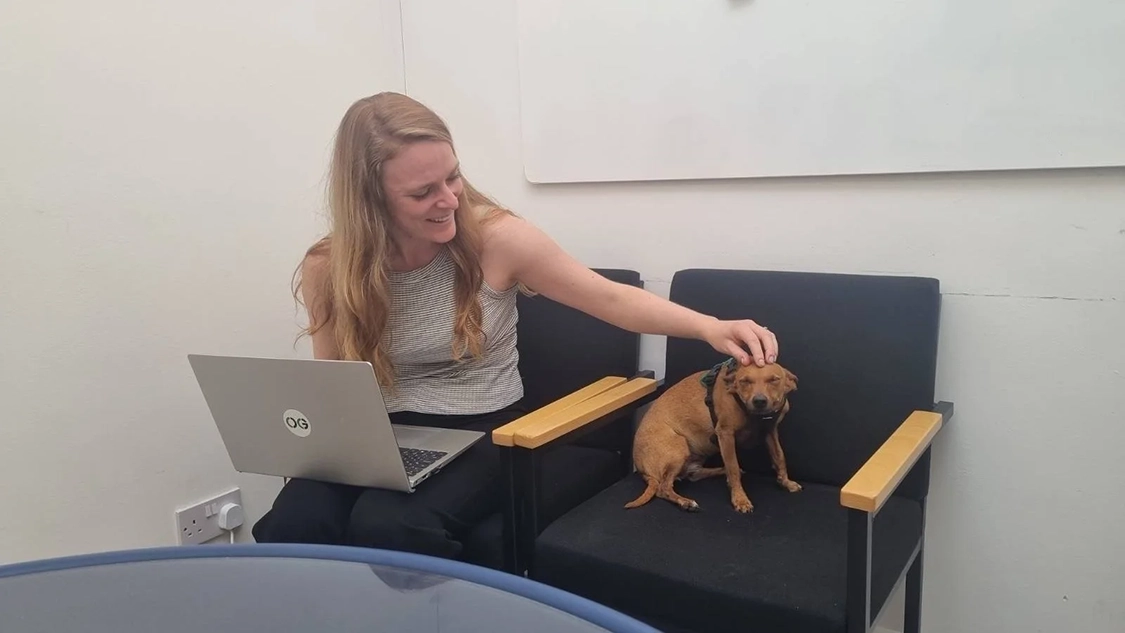 Picture of a woman in a grey t-shirt with a laptop smiling and petting a small brown dog on the chair next to her.
