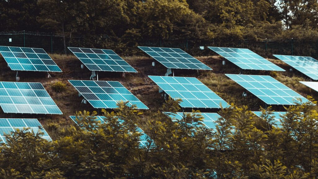 Positive Climate Stories in April 2025