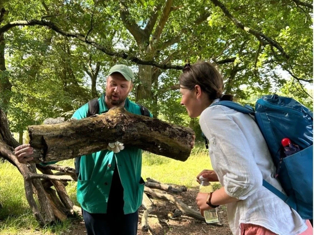 A woman in a white shirt and wearing a blue backpack leans towards a man in a green jacket and cap holding a log covered in fungi. The woman is looking at the fungi curiously. There are trees and a sunny field in the background.
