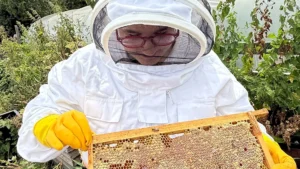 Image of a woman with red glasses on in a white beekeepers suit with yellow gloves holding a piece of a honeycomb with bees on it that she is looking at.