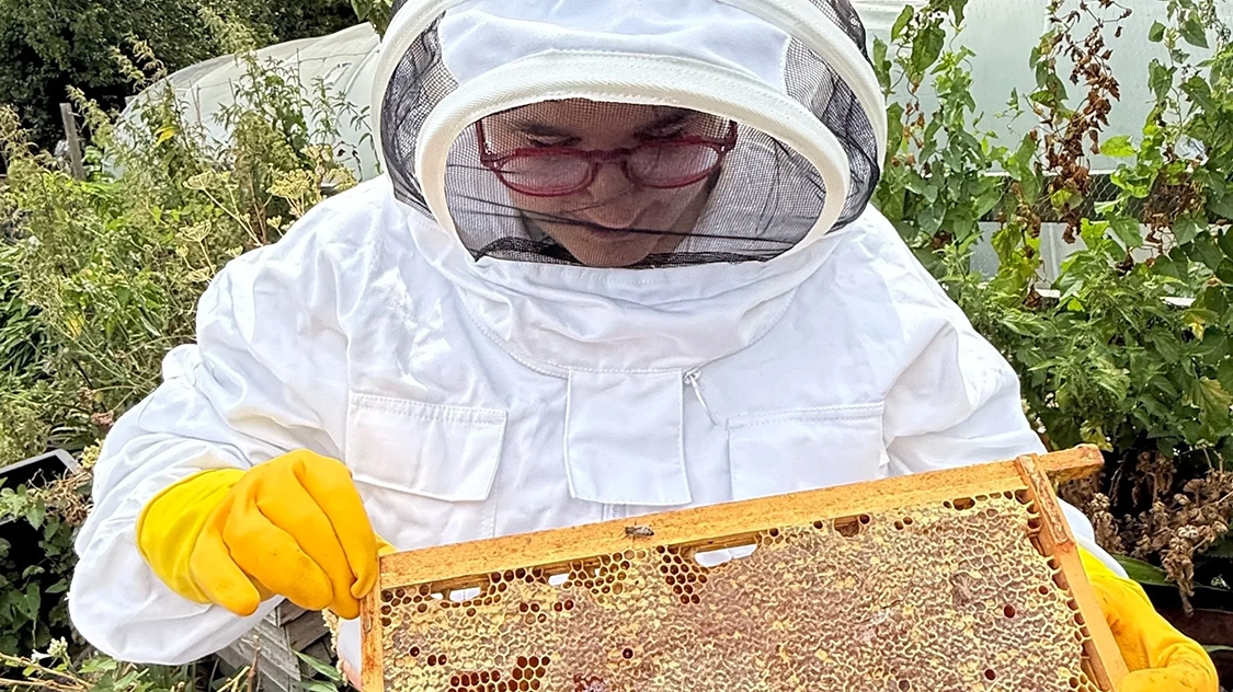 Image of a woman with red glasses on in a white beekeepers suit with yellow gloves holding a piece of a honeycomb with bees on it that she is looking at.