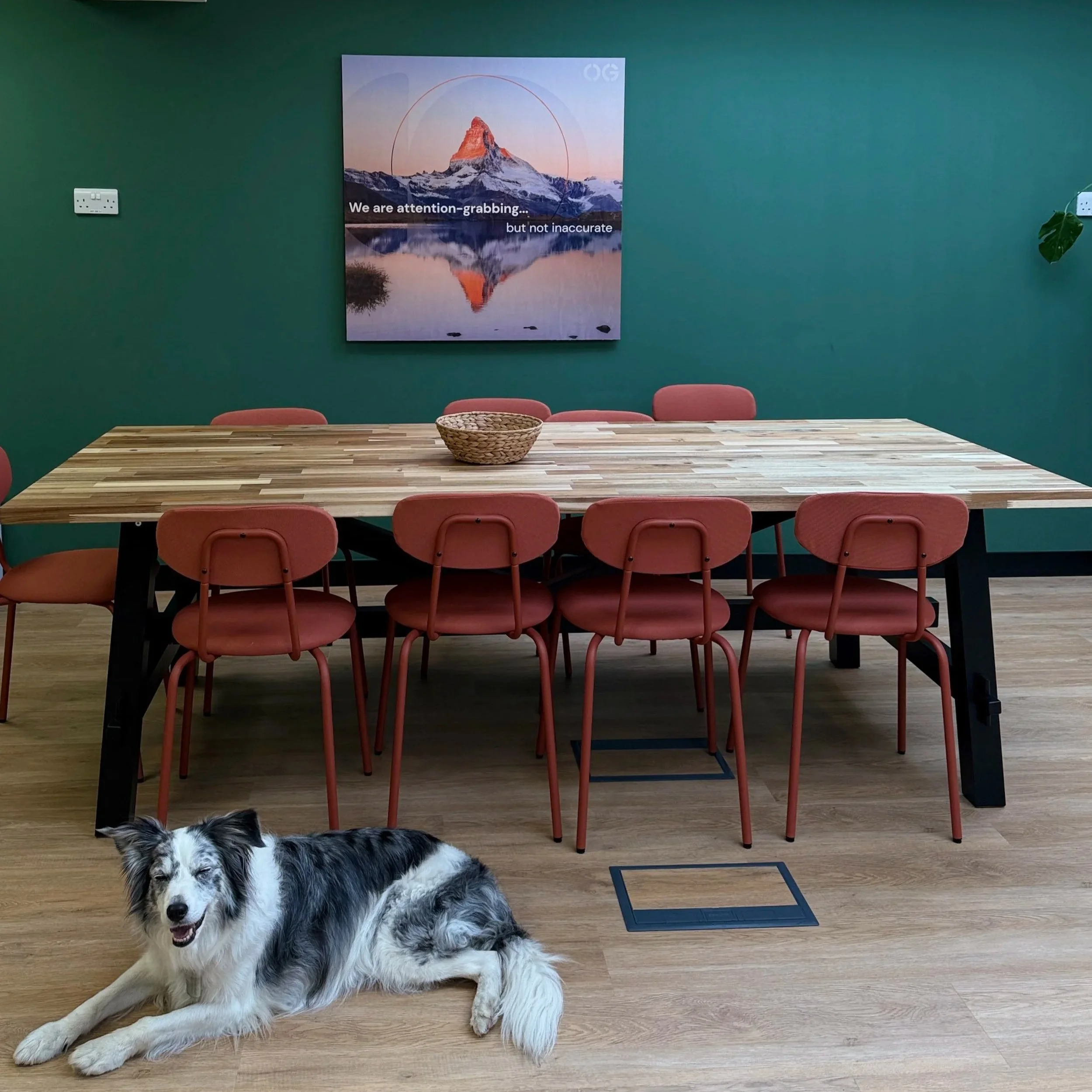 Picture of a poster on a green wall in teh Opportunity Green office. The poster has an image of a mountain on it, and the slogan "We are attention grabbing... but not inaccurate". In front of the poster there is a wooden table with red chairs, and a grey and white dog lying down.