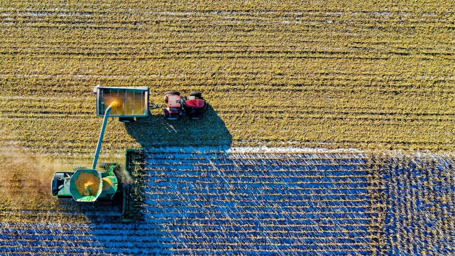 tractor ploughing field