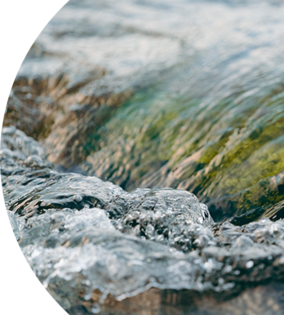 OG in the Irish Times