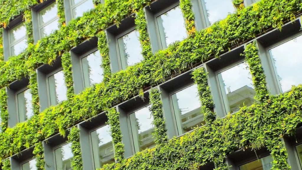 The environmental dimension of sustainable development