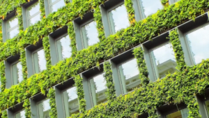 Building facade with an abundance of green shrubs around each window