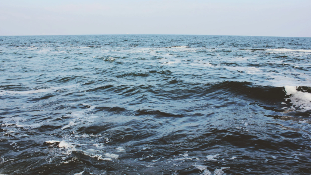 Oceans and Human Rights submission