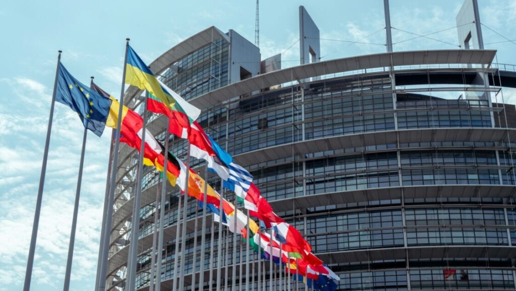 How to contact your MEP