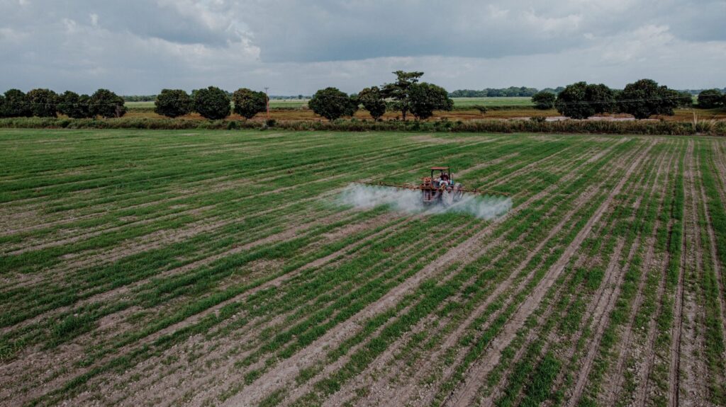 Sustainable agriculture and equitable food systems transformation