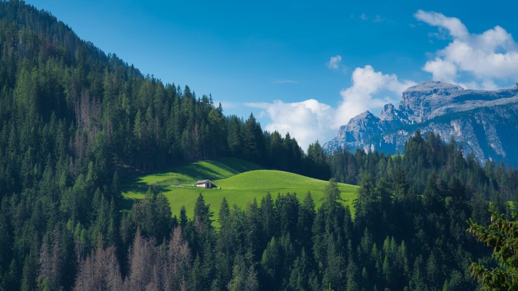 Positive Climate Stories in July 2026