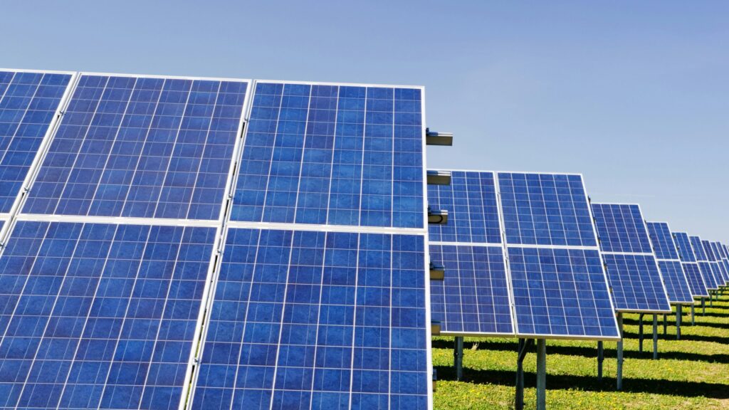 Positive Climate Stories in September 2026