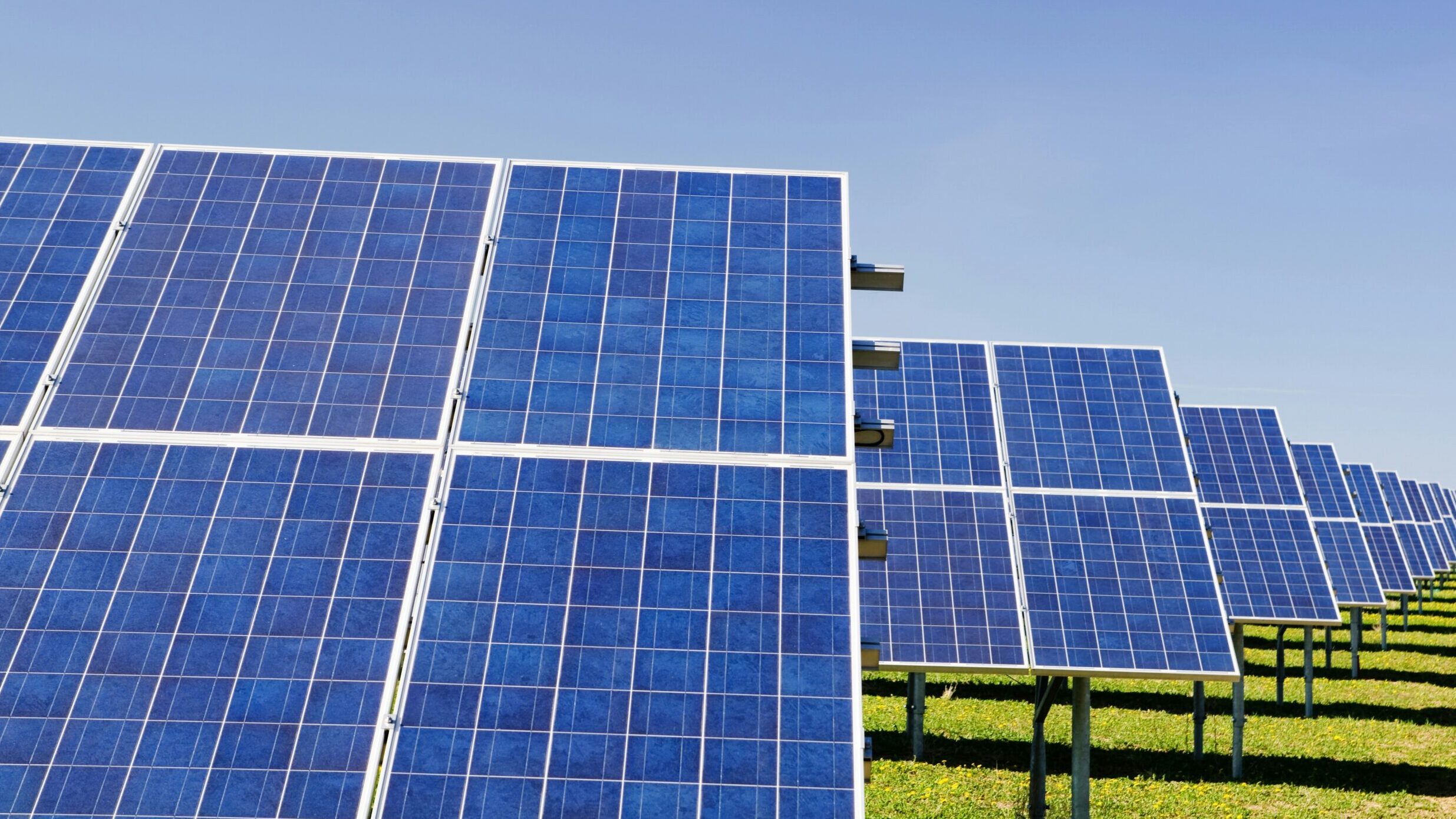 Rows of blue-coloured solar panels on a grassy field in the sunshine